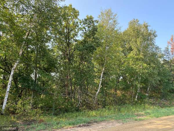 TBD (L8, B2) Goldfinch LN SW, Bemidji, MN 56601