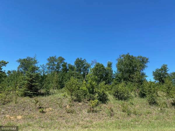 TBD (L10, B2) Grant Hills RD SW, Bemidji, MN 56601