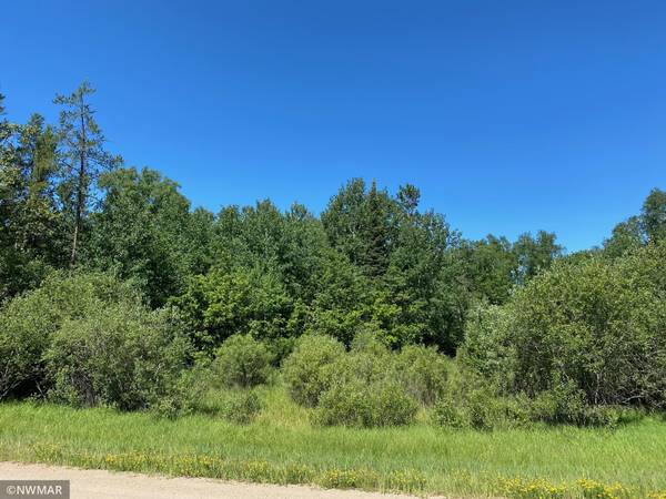 TBD (L11, B2) Grant Hills RD SW, Bemidji, MN 56601