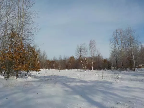 Siren, WI 54872,0 Dake RD