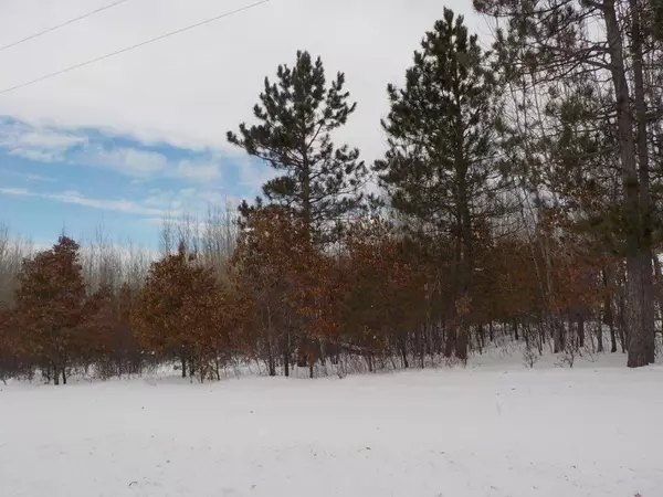 Siren, WI 54872,0 Dake RD