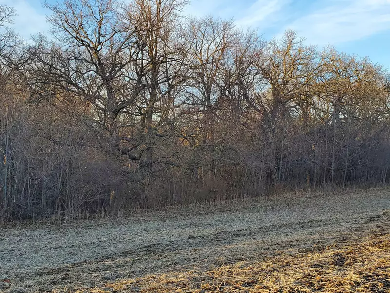 TBD1 Hadley Valley Rd NE, Rochester, MN 55906