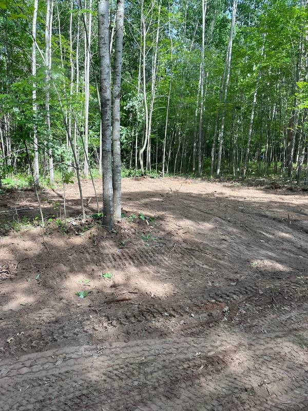 xxxx Kielkucki Trail Lot 3, Danbury, WI 54830