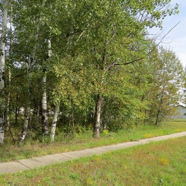 19 Mulberry LN, Babbitt, MN 55706