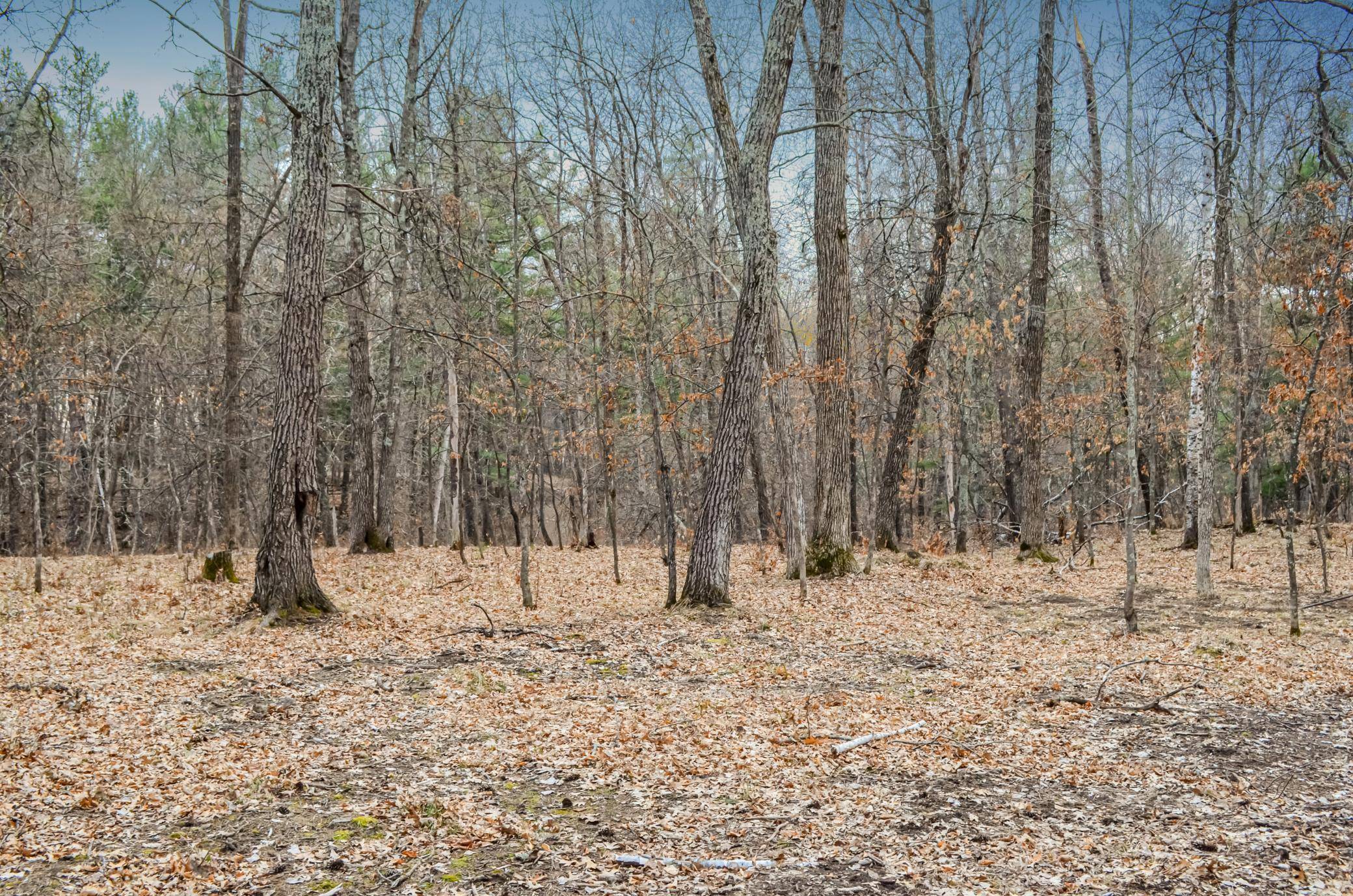 Nisswa, MN 56468,26753 Fawn Forest RD