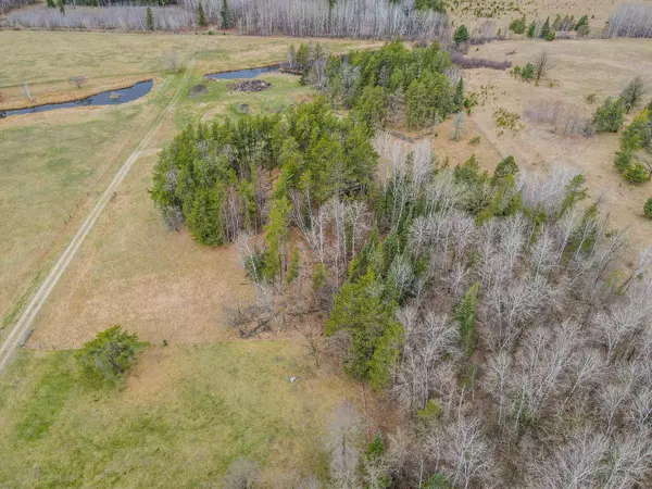 Laporte, MN 56461,Lot 7 County 39