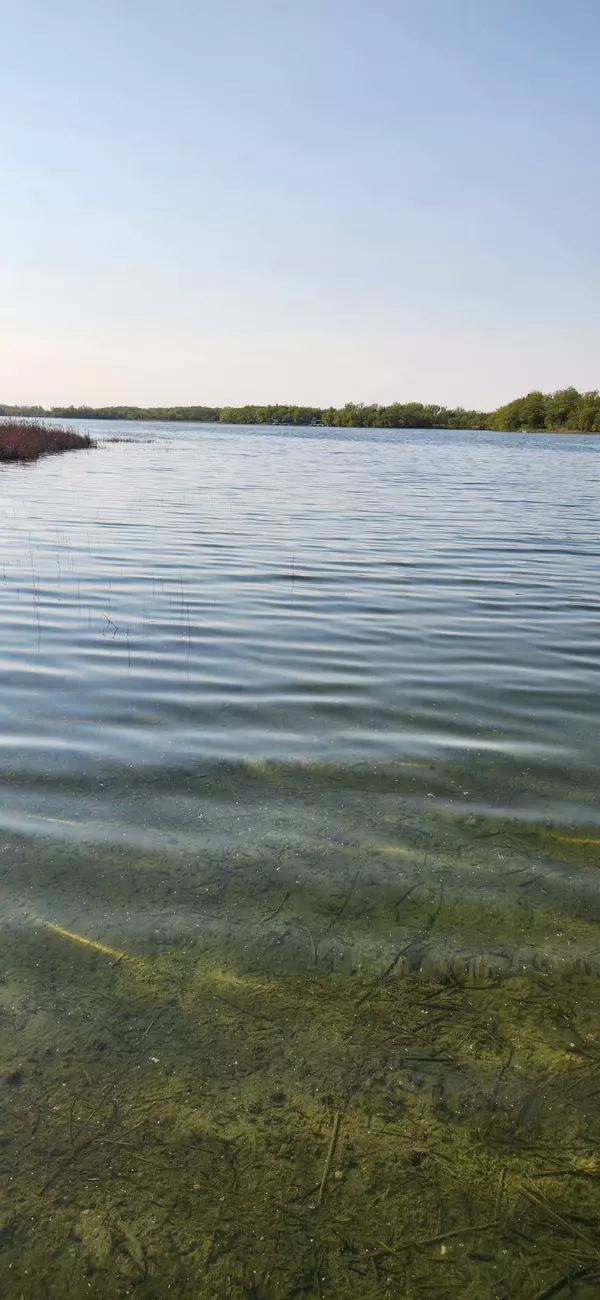 Brandon, MN 56315,12923 Tanglewood RD NW