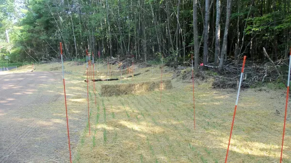 Siren, WI 54872,Lot 1 Aspen Ridge Trl