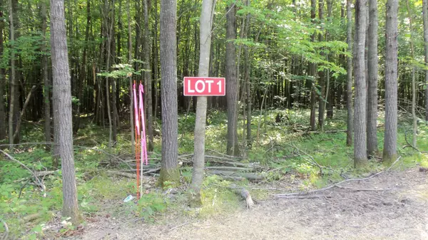 Siren, WI 54872,Lot 1 Aspen Ridge Trl