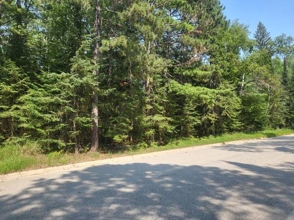 TBD County Road 138, International Falls, MN 56649