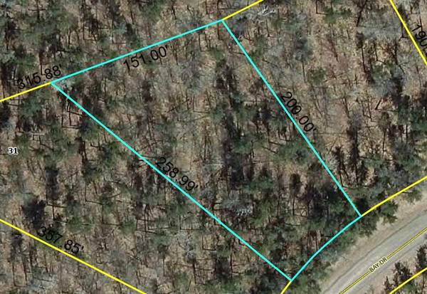 Lot 71 Bay DR, Danbury, WI 54830