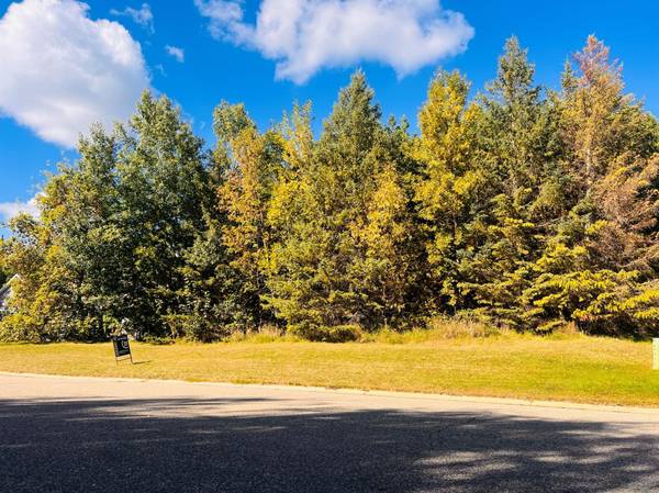 Lot 25 Colorado Circle SE, Alexandria, MN 56308