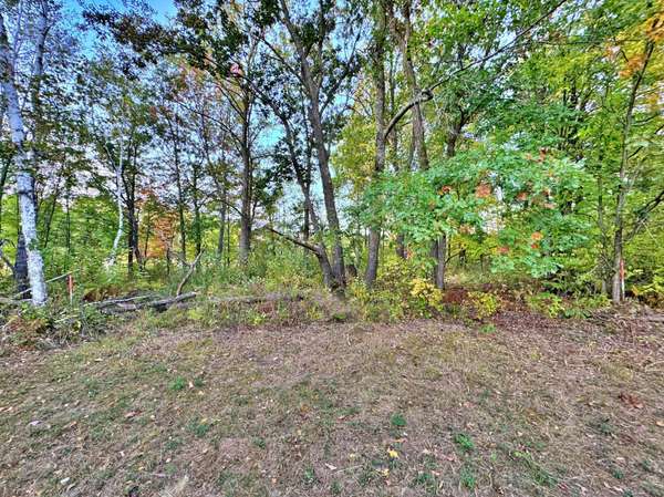 XXX LOT A ASH CT, Garrison, MN 56450