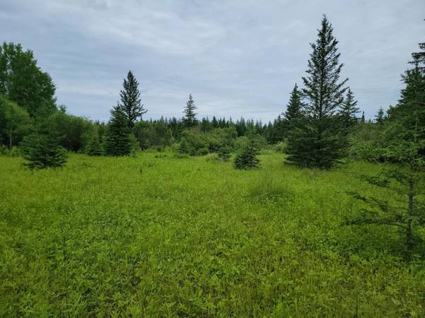 xxx Heino RD, Angora, MN 55703