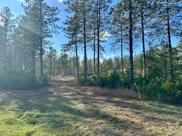 xxx Cathedral Pines DR, Sturgeon Lake, MN 55783