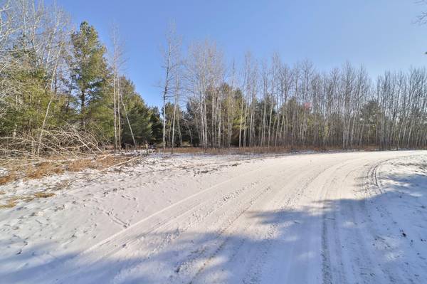 TBD Portage Circle, Browerville, MN 56438