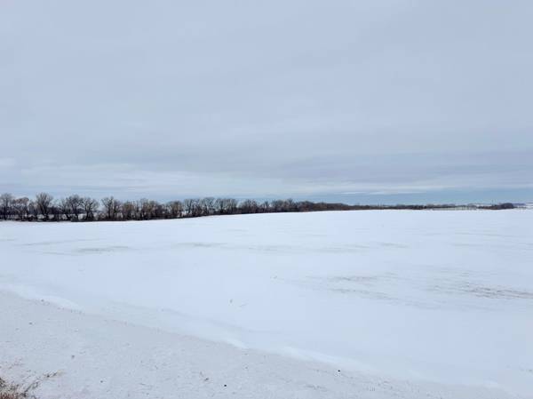 TBD County 12 BLVD, Wanamingo, MN 55983