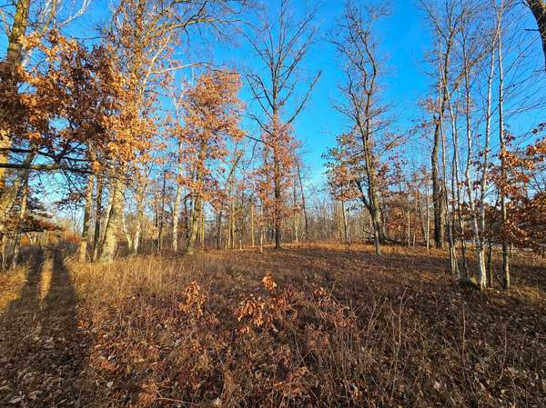 L6B4 Settler Trail, Merrifield, MN 56465