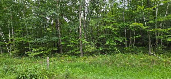 Forest Lake, MN 55025
