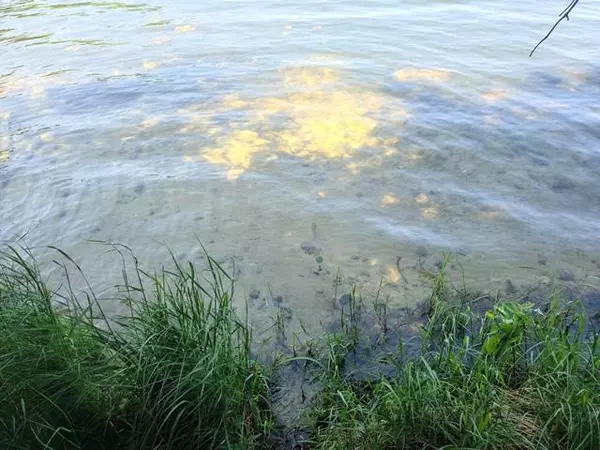 XXX N White Swan Lake RD, Bigfork, MN 56628