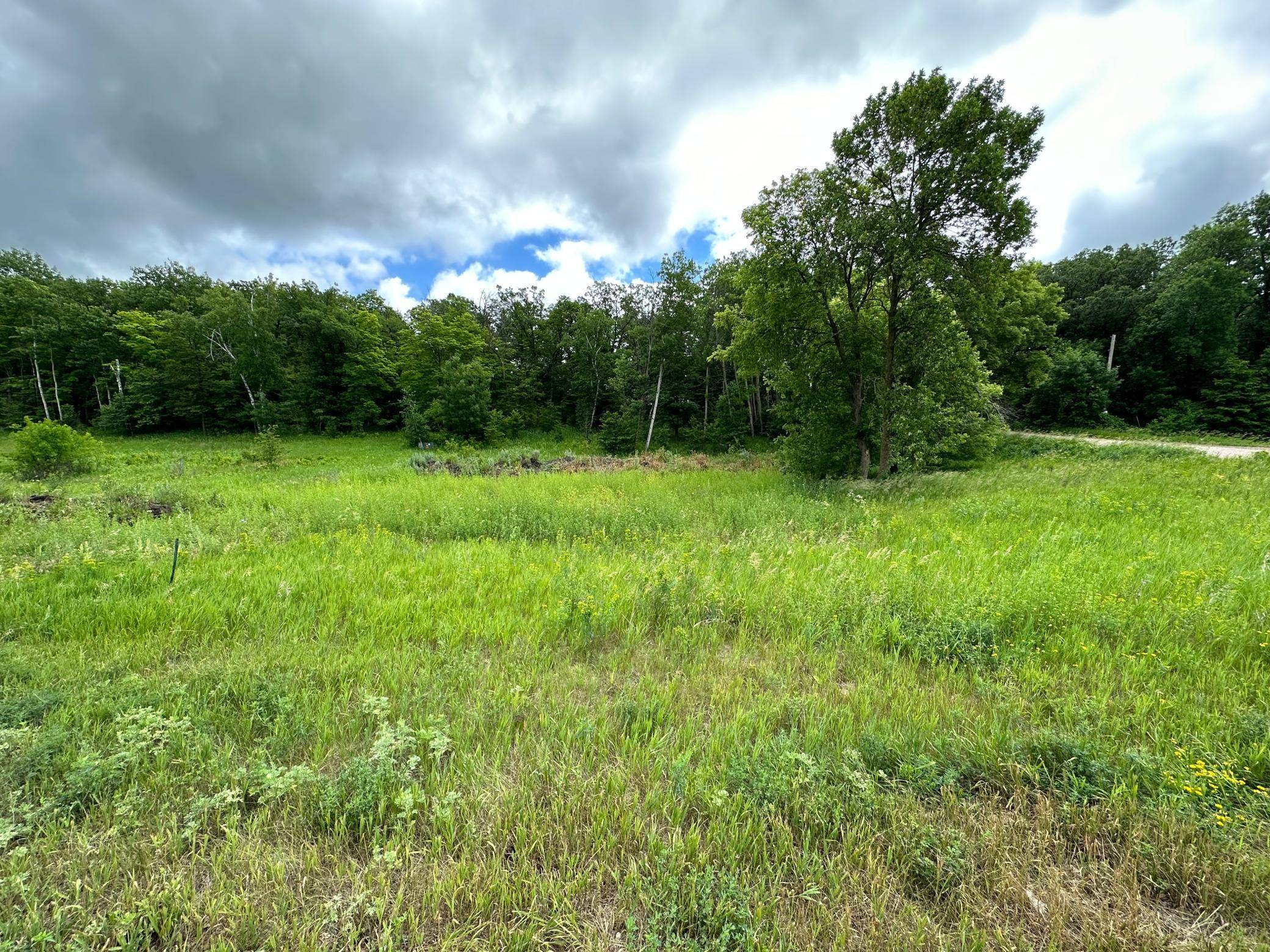Detroit Lakes, MN 56501,1493 Michigan AVE