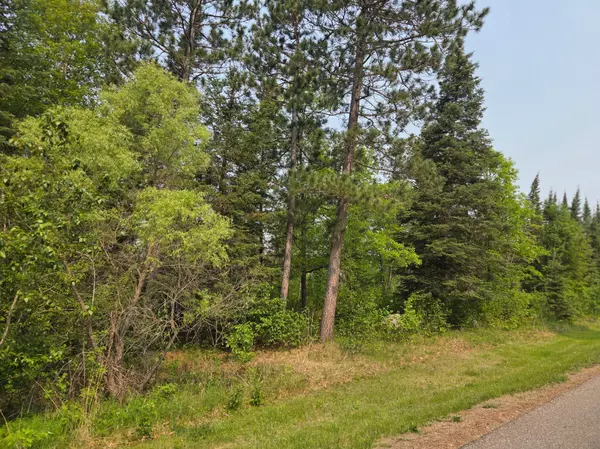 Bemidji, MN 56601,TBD Graycalm CT SE