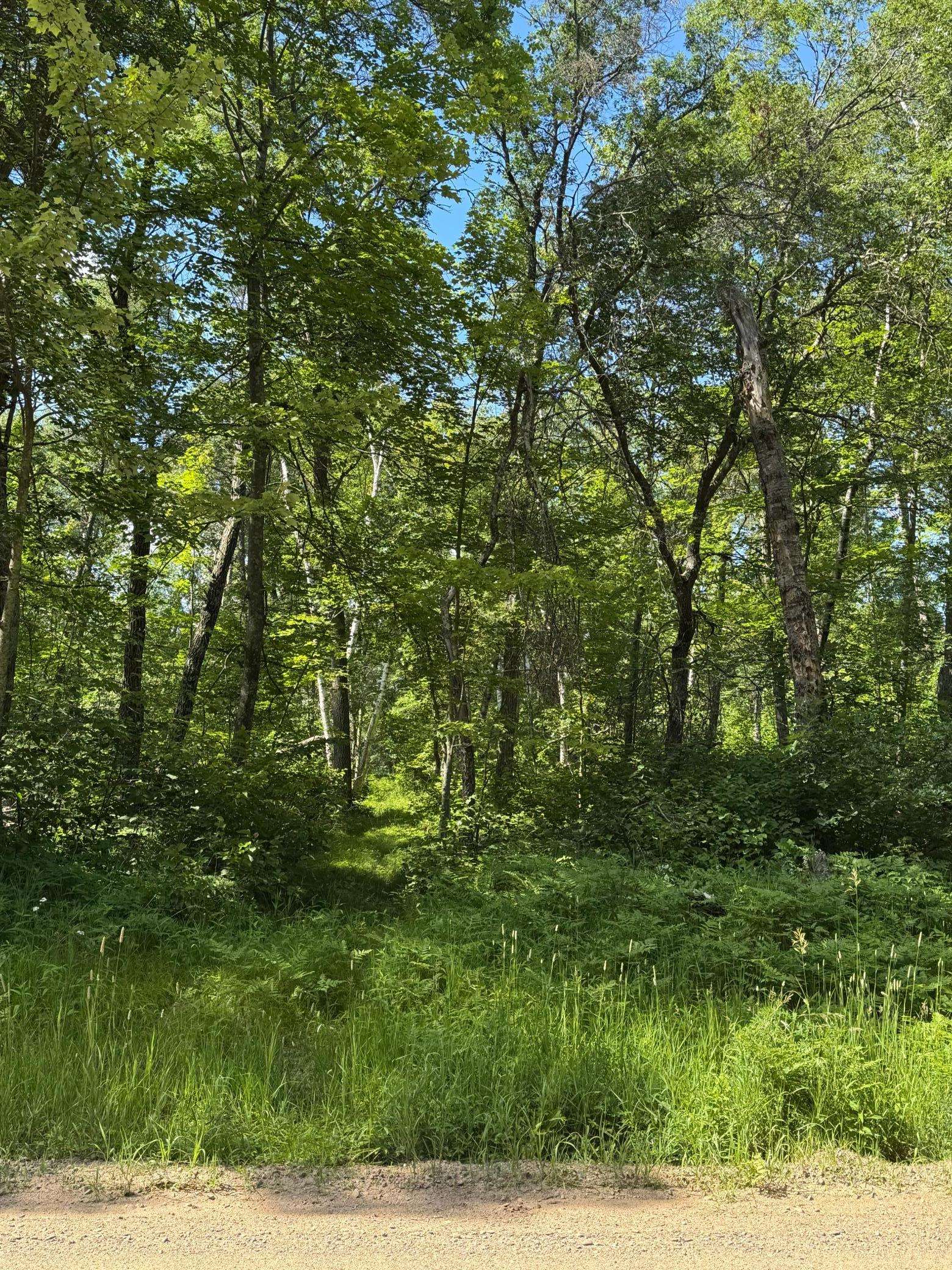 TBD Blue Ridge DR, Breezy Point, MN 56472