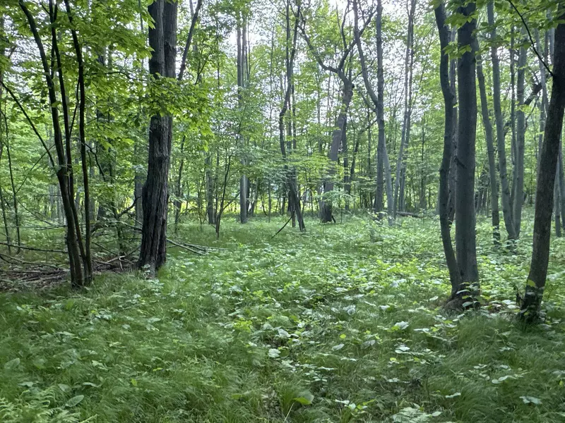 TBD Old 35 BYP, Siren, WI 54872