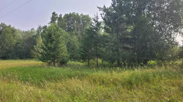 TBD* 16th ST SW, Backus, MN 56435