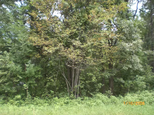 TBD N Lakeview DR, Breezy Point, MN 56472