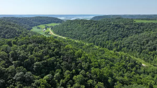 TBD CTY 18, Brownsville, MN 55919