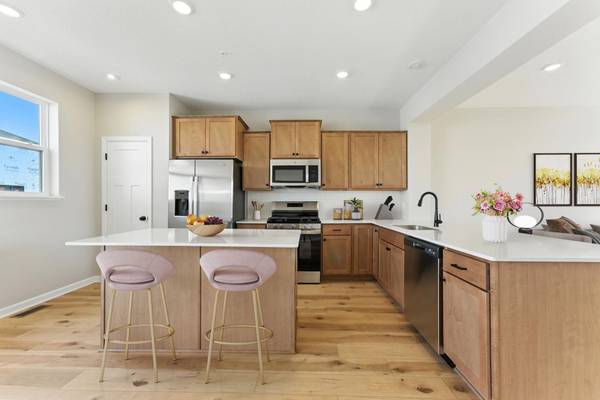 10379 Birchwood CIR, Chaska, MN 55318