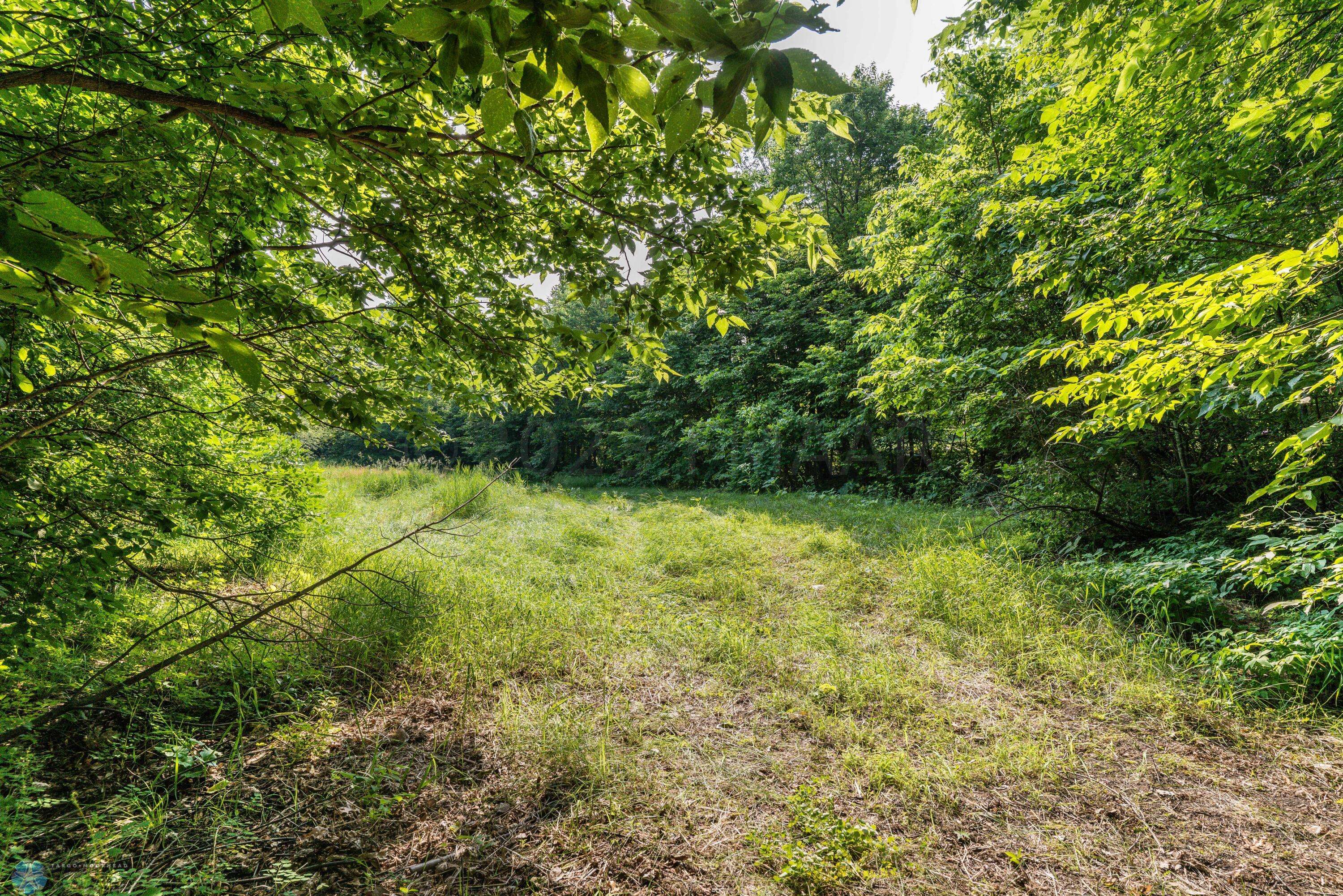 Battle Lake, MN 56515,LOT 6 WEST POINT TRL