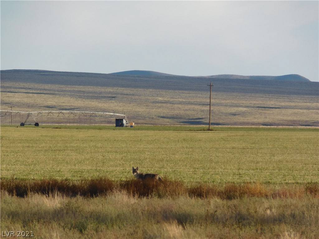 Penoyer Farm RD Block 2 Lot 4, Alamo, NV 89001