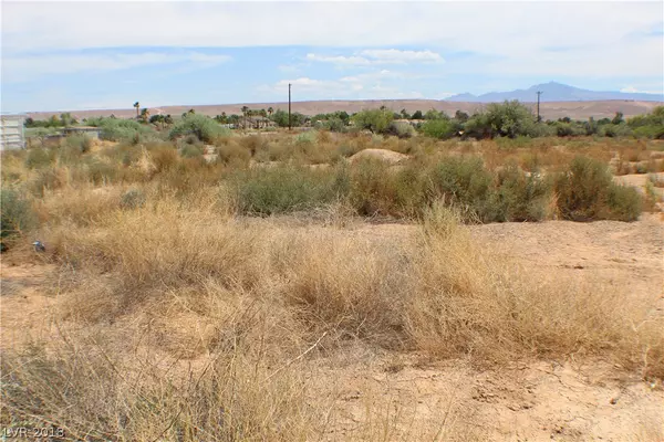 Overton, NV 89040,440 WHITMORE ST