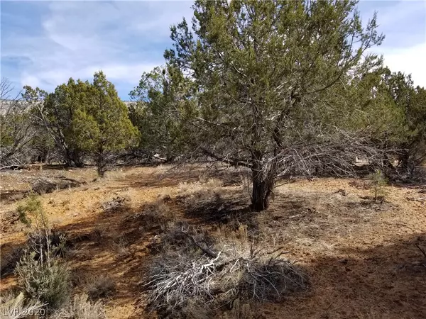 Other, UT 84758,58 Cedar DR