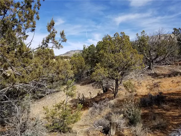 Other, UT 84758,58 Cedar DR