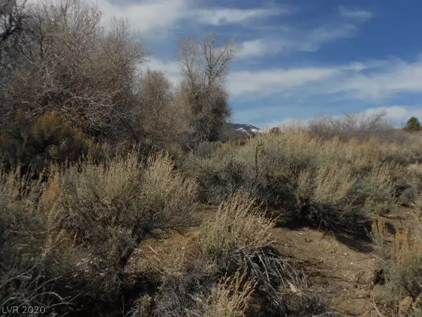 Ely, NV 89301,4110 Burnt Mill RD