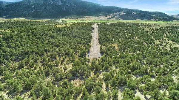 Ely, NV 89301,4900 E BIRD CREEK RD #LOT 8