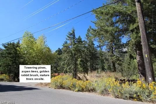 Mount Charleston, NV 89124,3988 Mont Blanc WAY