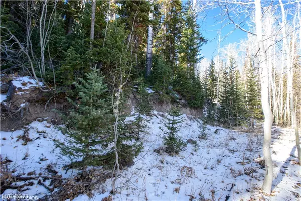 Brian Head, UT 84719,455 N Adams CIR