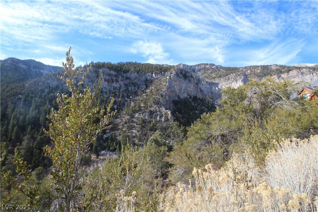 Mount Charleston, NV 89124,343 Crestview DR