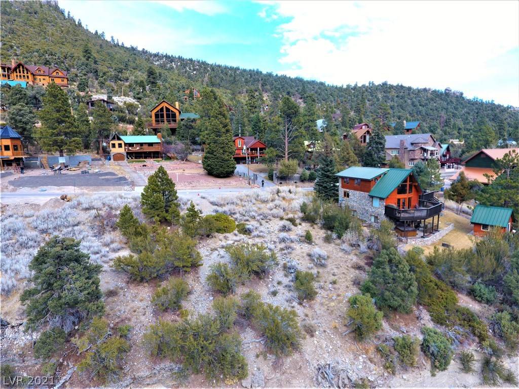 Mount Charleston, NV 89124,287 Crestview DR
