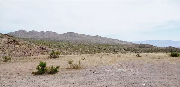 Searchlight, NV 89046,MS 1990 Cottonwood Cove RD