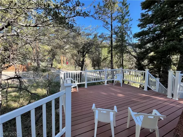 Mount Charleston, NV 89124,4101 Mont Blanc WAY