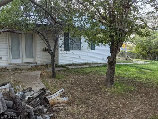 Pioche, NV 89043,336 Hoffman ST