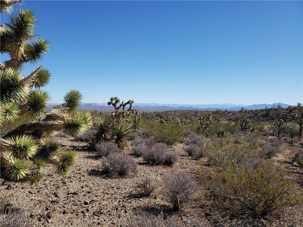 Searchlight, NV 89046,Walking Box