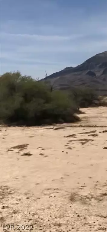 Pahrump, NV 89060,5871 Amadeo Place