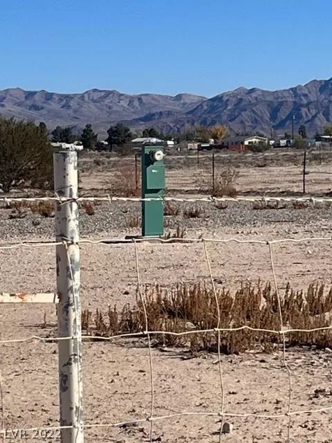 Sandy Valley, NV 89019,1892 Polona ST