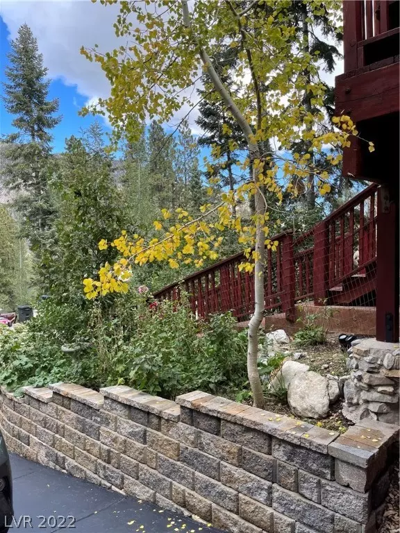 Mount Charleston, NV 89124,3919 Davos WAY